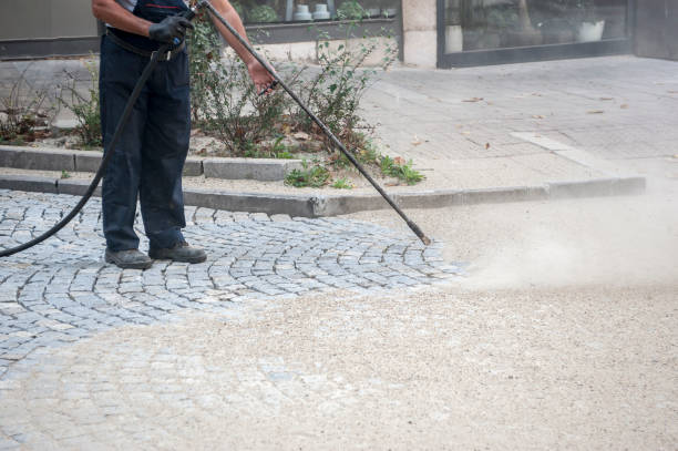 Best Factory Floor Cleaning  in Lakefield, MN